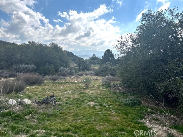 Detail Gallery Image 29 of 29 For 0 Oak Rd, Anza,  CA 92539 - – Beds | – Baths