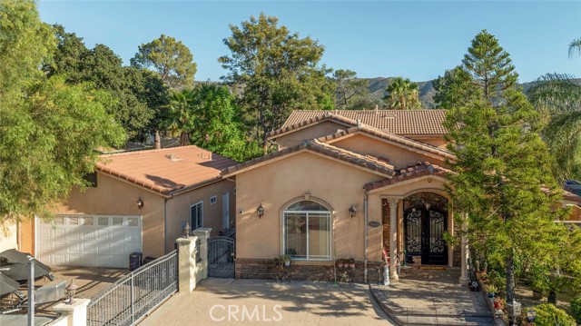 10610 Oak Tree