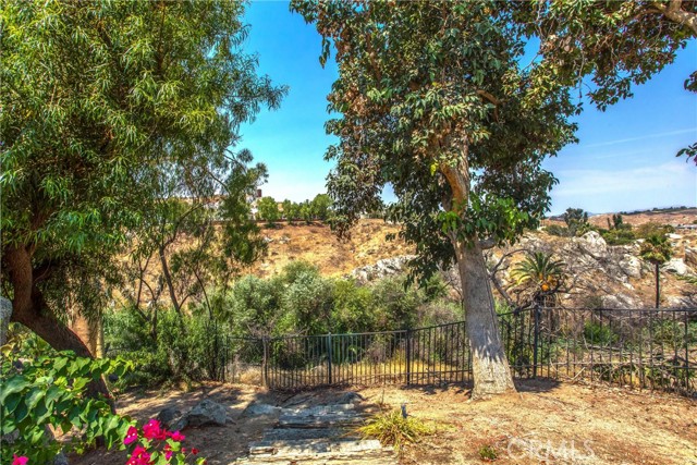 6966 Ranch View Road, Riverside CA: https://media.crmls.org/medias/6e1b8419-9a99-42d5-a890-236174694f6c.jpg