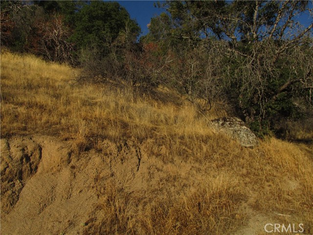Detail Gallery Image 16 of 54 For 2 Ac Old Oaks Ct, North Fork,  CA 93643 - – Beds | – Baths