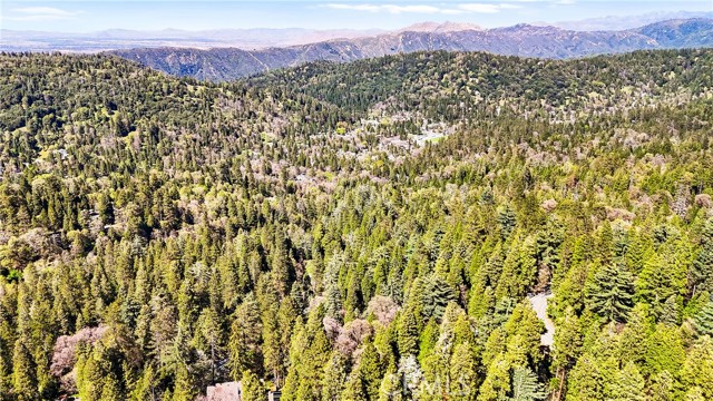 22384 Crest Forest Road, Cedarpines Park CA: https://media.crmls.org/medias/6e1e77de-920f-4bbe-a8a1-a984e875b261.jpg