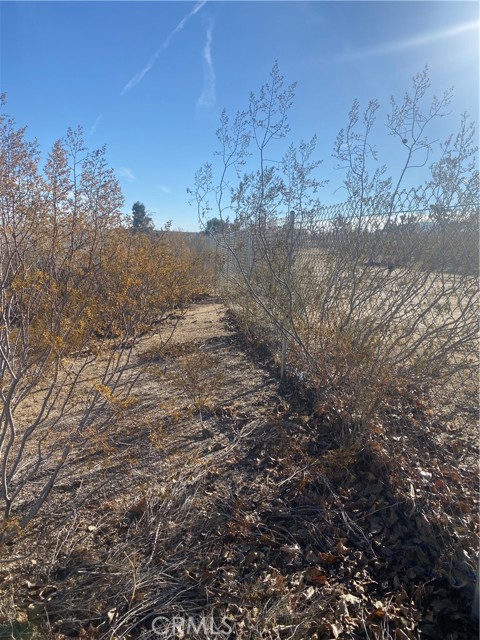 Detail Gallery Image 1 of 32 For 133 Cor Ave V10, Pearblossom,  CA 93553 - – Beds | – Baths