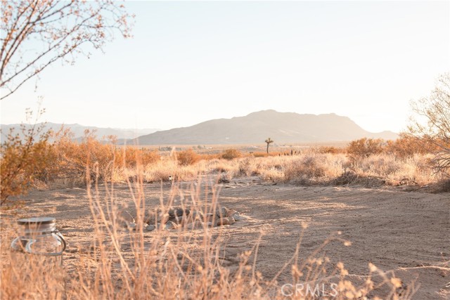 Detail Gallery Image 10 of 24 For 2674 Manana Ave, Joshua Tree,  CA 92252 - – Beds | – Baths