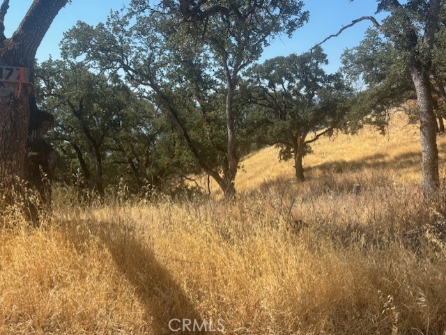 Detail Gallery Image 38 of 44 For 10877 Crestview Dr, Clearlake,  CA 95424 - – Beds | – Baths