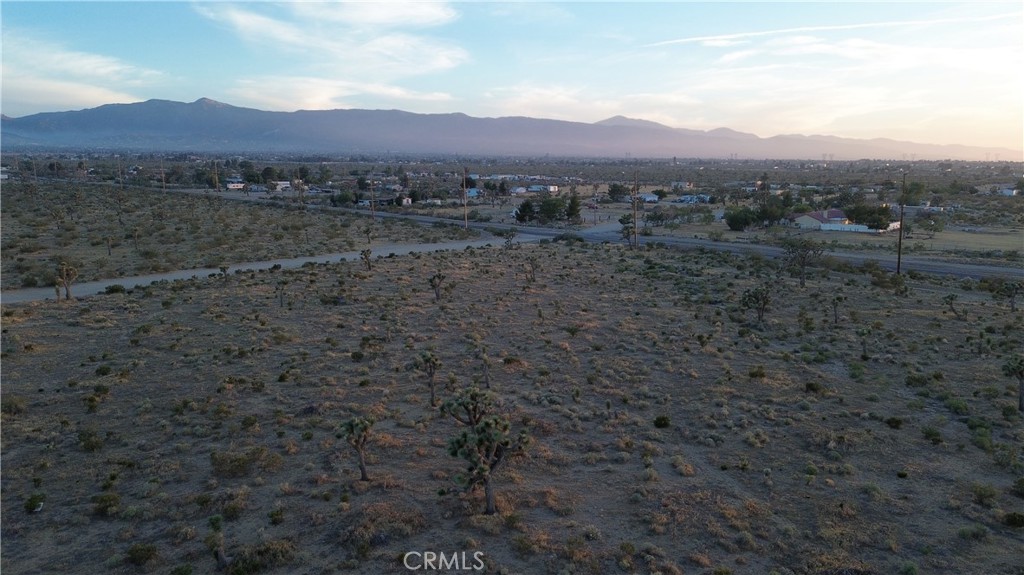 MLS #DW26110172 image #6