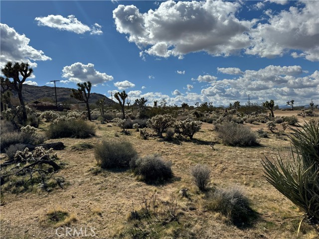 7654 Vista Road, Joshua Tree, California 92252, ,Land,For Sale,7654 Vista Road,CRJT24057098