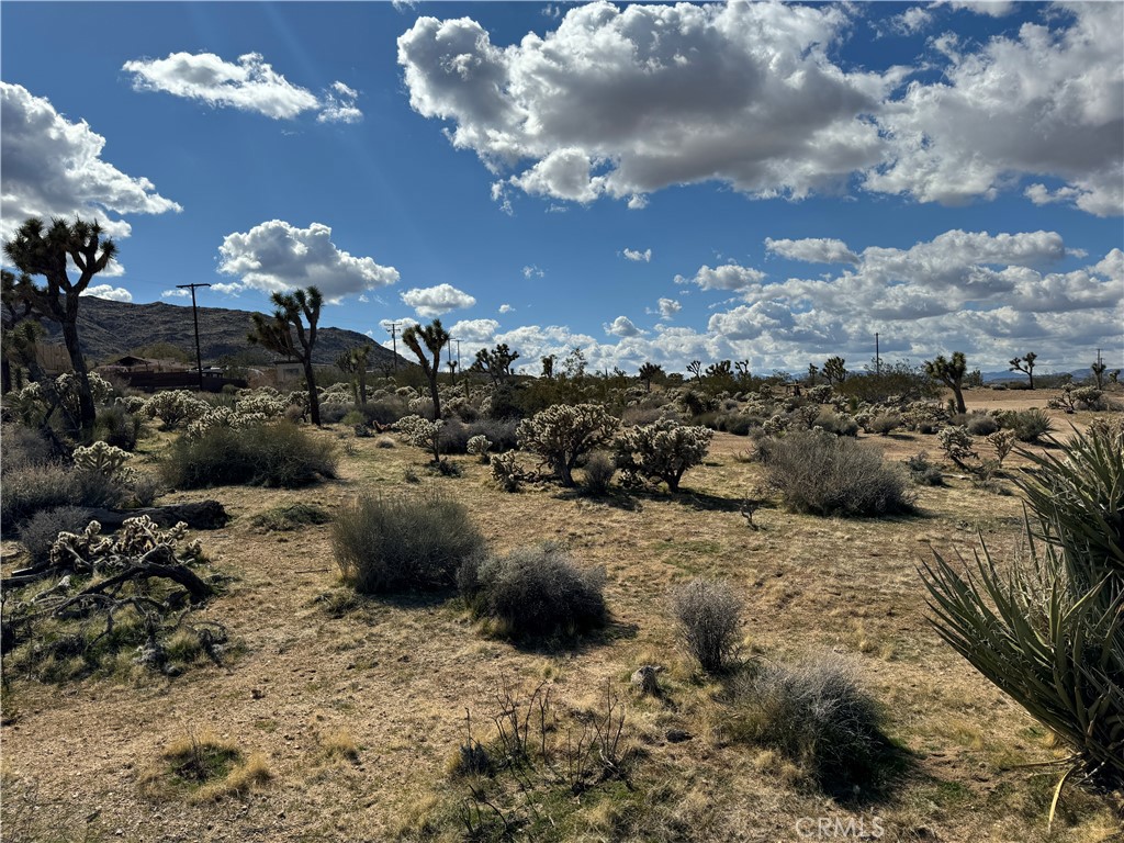 MLS #JT24057098 image #2