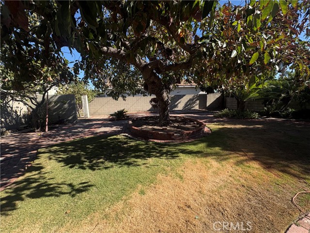 8821 Shenandoah photo 23