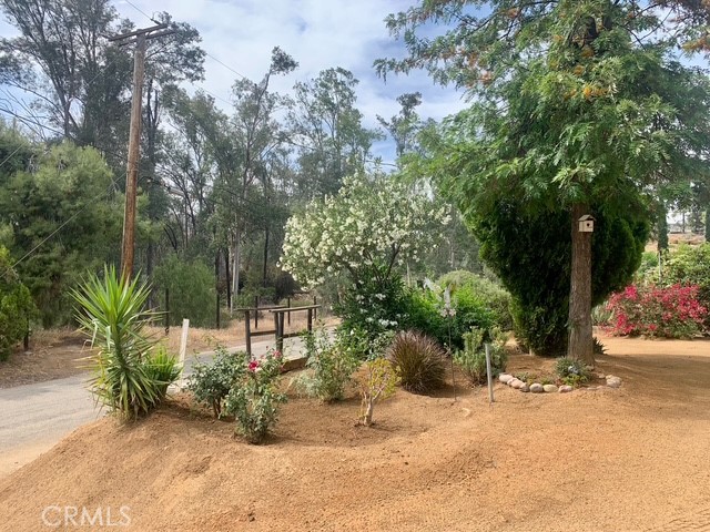 28480 Red Gum Drive, Lake Elsinore CA: https://media.crmls.org/medias/6e40213c-29b0-410b-a61f-c59f9194047e.jpg