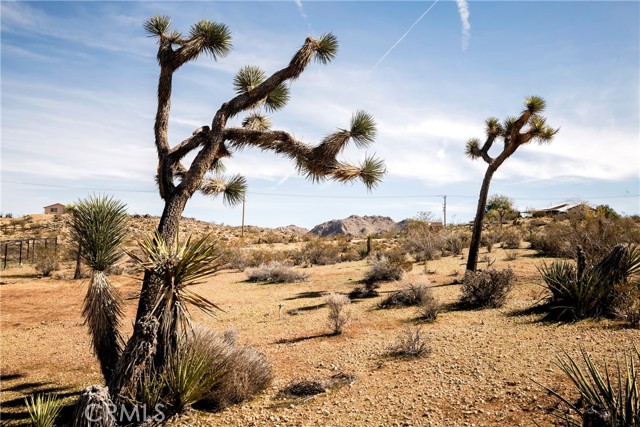 Detail Gallery Image 5 of 74 For 59621 Mesa Dr, Yucca Valley,  CA 92284 - 3 Beds | 3/1 Baths