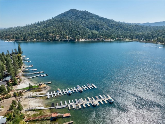 Detail Gallery Image 59 of 66 For 39477 Chickadee, Bass Lake,  CA 93604 - 4 Beds | 3 Baths