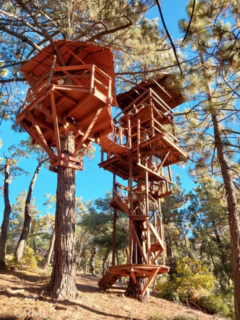 Detail Gallery Image 55 of 67 For 161 N Trails End Rd, Green Valley Lake,  CA 92341 - 3 Beds | 3 Baths