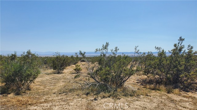 0 Budlong Ave & 114th St West, Rosamond, California 93560, ,Land,For Sale,0 Budlong Ave & 114th St West,CRSR23171065