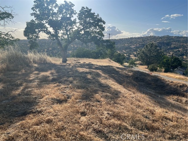 Detail Gallery Image 2 of 4 For 1578 Lilley Mountain Dr, Coarsegold,  CA 93614 - – Beds | – Baths