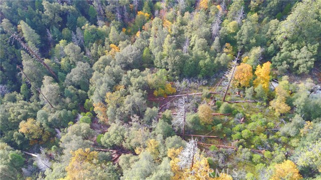 Detail Gallery Image 8 of 11 For 6180 Chowchilla Mtn. Rd, Mariposa,  CA 95338 - – Beds | – Baths