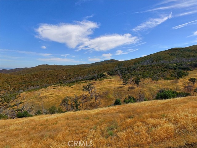 Front Image Thumbnail for CRLC25266452