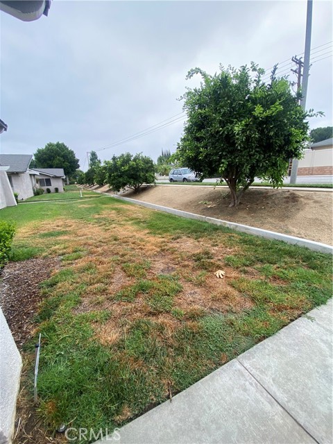 25236 Lawton Avenue, Loma Linda CA: https://media.crmls.org/medias/6e75b16a-15e4-41f4-aa42-5f4a25e123d5.jpg