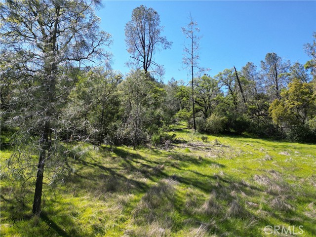 Detail Gallery Image 4 of 14 For 0 Hidden Mine Rd, Oroville,  CA 95965 - – Beds | – Baths