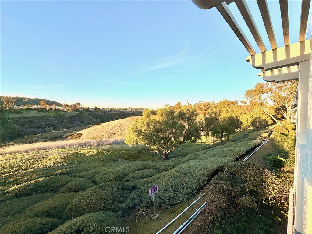 MLS #OC25274797 image #10