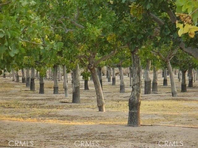 31600 Troy, Newberry Springs, CA, 92365 31600 Troy, Newberry Springs, CA, 92365