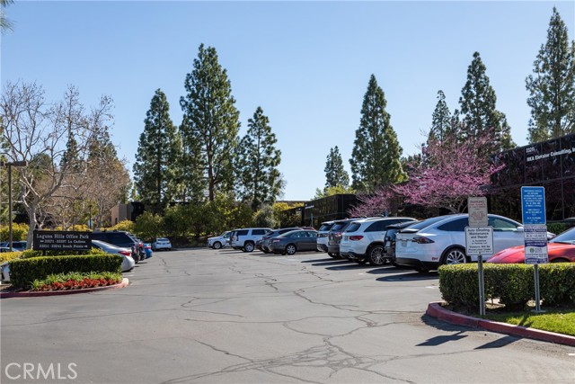 Free Surface Parking