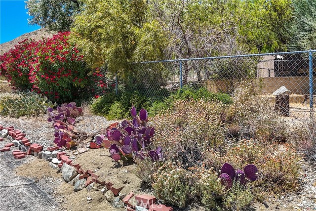 Detail Gallery Image 56 of 61 For 48910 Hibiscus Dr, Morongo Valley,  CA 92256 - 3 Beds | 3 Baths