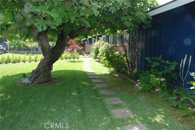 360 Campbell Avenue, Redlands CA: https://media.crmls.org/medias/6e9e8358-0647-4e30-b6ad-8586f552fd1d.jpg