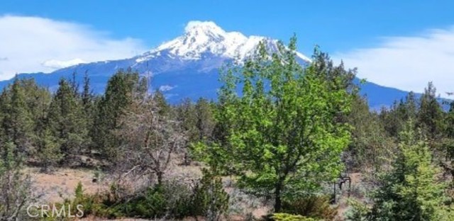 Detail Gallery Image 6 of 11 For 0 99xx Big Springs Rd, Montague,  CA 96064 - – Beds | – Baths