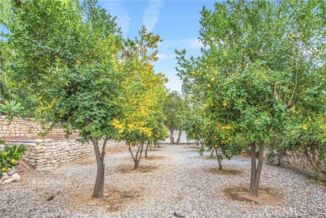 Detail Gallery Image 31 of 62 For 1212 W Sunset Dr, Redlands,  CA 92373 - 5 Beds | 3 Baths