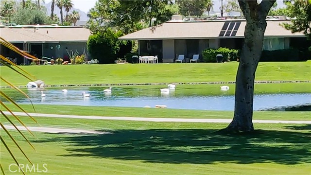 Detail Gallery Image 57 of 73 For 6 Whittier Ct, Rancho Mirage,  CA 92270 - 3 Beds | 3 Baths