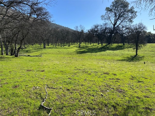 Detail Gallery Image 15 of 32 For 471 Ac - Hwy 49n, Mariposa,  CA 95338 - – Beds | – Baths