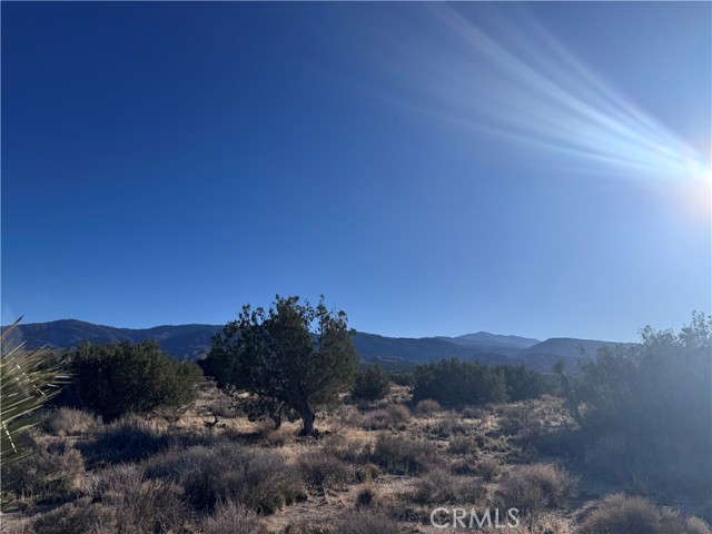 Detail Gallery Image 8 of 15 For 0 Vac/Antelope, Llano,  CA 93544 - – Beds | – Baths