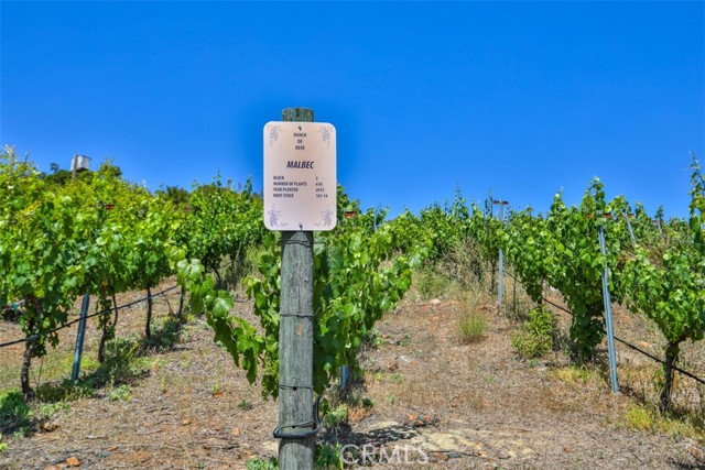 0 Via Herradura, Murrieta CA: https://media.crmls.org/medias/6ec4dd87-32f2-4501-a9a1-dd893eb2b04e.jpg