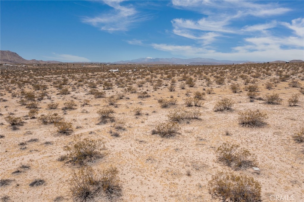 MLS #JT25110585 image #6