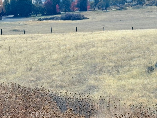 Detail Gallery Image 4 of 19 For 0 10 Acres Riverview Dr., Yreka,  CA 96097 - – Beds | – Baths