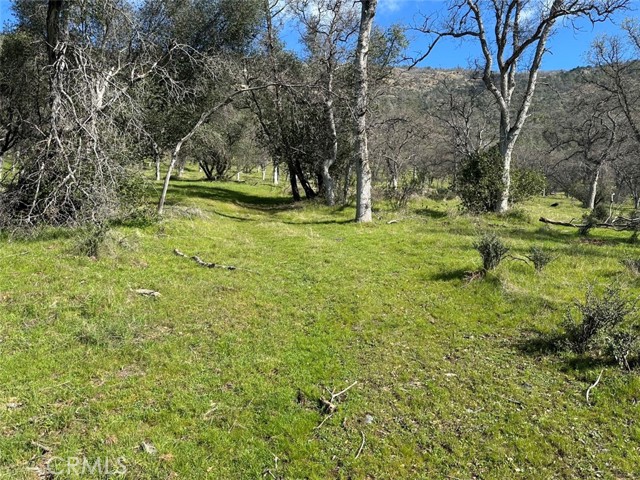 Detail Gallery Image 30 of 32 For 471 Ac - Hwy 49n, Mariposa,  CA 95338 - – Beds | – Baths