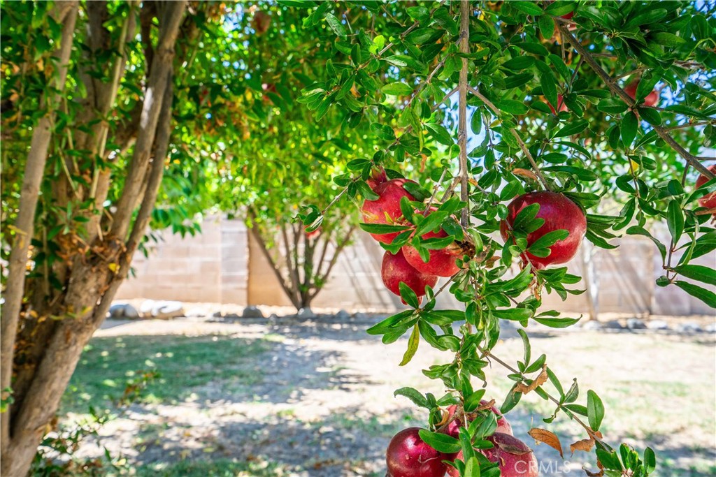https://media.crmls.org/medias/6ed35695-b225-4470-9d61-d49277f07e2b.jpg?preset=X-Large