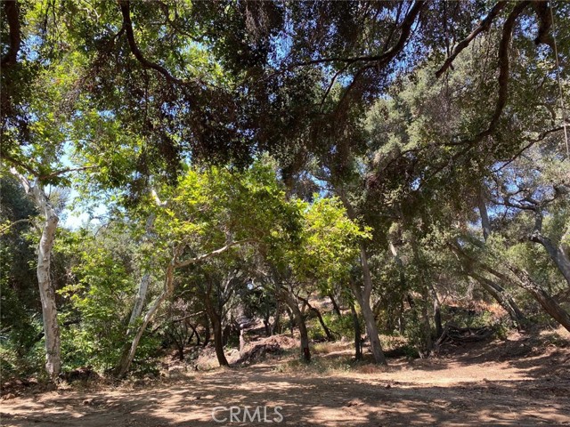 0 El Calamar Rd, Temecula CA: https://media.crmls.org/medias/6ed402ff-970b-4d73-a9db-c31648f9595f.jpg