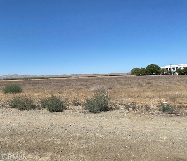Detail Gallery Image 17 of 21 For 0 Phelps Ave, Coalinga,  CA 93210 - – Beds | – Baths