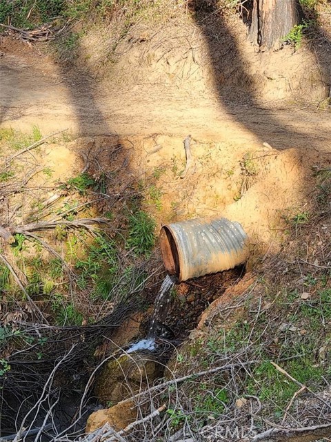 Image 17 of 44 For 11691 Oro Quincy Highway