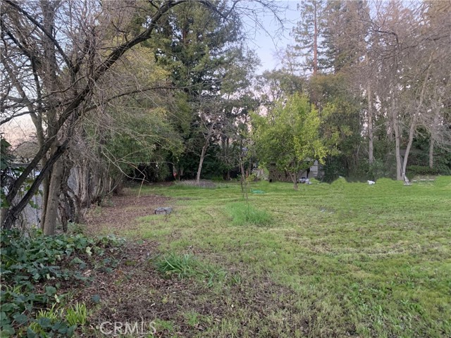 3252 Panama Avenue, Carmichael CA: https://media.crmls.org/medias/6ee0ad6b-4a4e-427e-a70b-fe22a2f58f0a.jpg