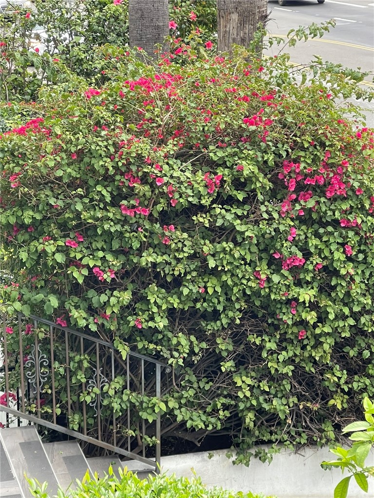 https://media.crmls.org/medias/6ee412cc-4187-495b-aeeb-dfb285231952.jpg?preset=X-Large