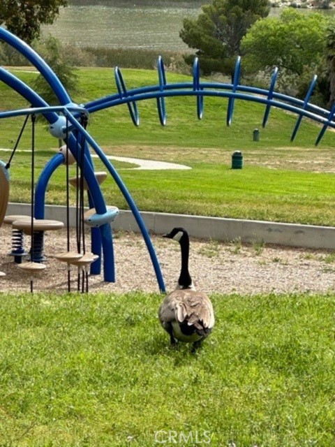 Castaic lake pay area
