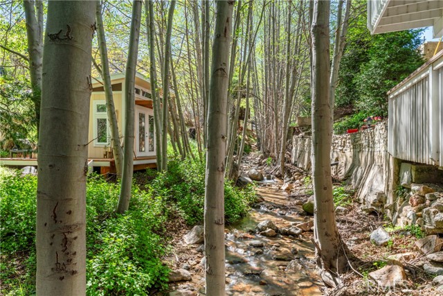 29613 Hook Creek Road, Cedar Glen CA: https://media.crmls.org/medias/6ee6877e-d613-437a-8bba-2fb792de29a1.jpg