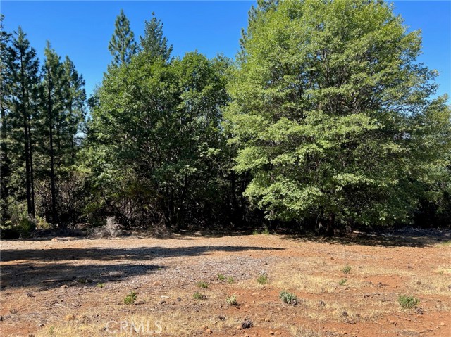 9003 Fox, Cobb, CA, 95426 9003 Fox, Cobb, CA, 95426