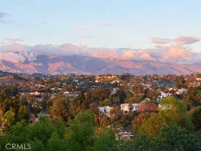 Detail Gallery Image 31 of 32 For 1218 Olancha Dr, Los Angeles,  CA 90065 - 3 Beds | 2/1 Baths
