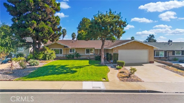 Front Image Thumbnail for CRDW25258961