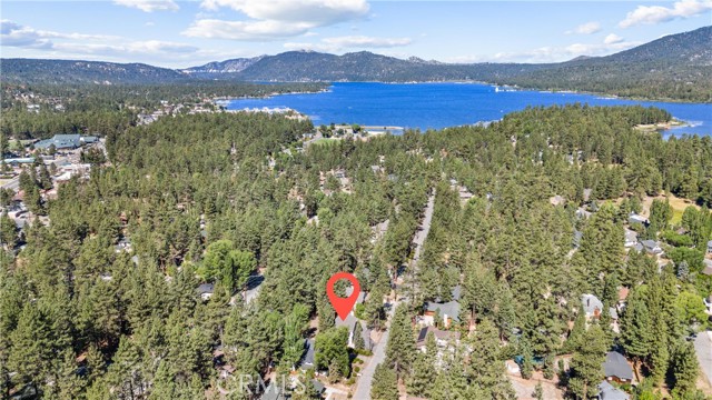 Detail Gallery Image 63 of 69 For 41659 Mockingbird Dr, Big Bear Lake,  CA 92315 - 4 Beds | 2/1 Baths