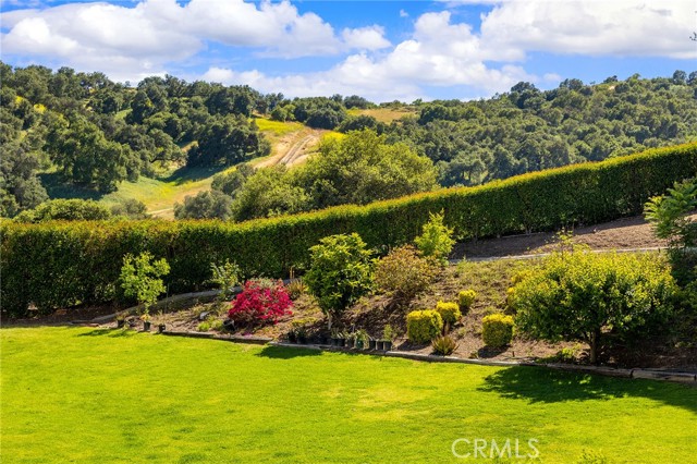 Detail Gallery Image 48 of 56 For 1036 Alpine Ct, Chino Hills,  CA 91709 - 4 Beds | 3/1 Baths