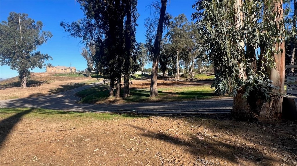 MLS #SW25072509 image #6